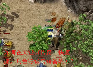 如何在天堂sf传奇中快速提升角色等级与装备战力? 如何在天堂sf传奇中快速提升角色等级与装备战力?