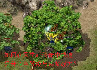 如何在天堂sf传奇中快速提升角色等级与装备战力? 如何在天堂sf传奇中快速提升角色等级与装备战力?