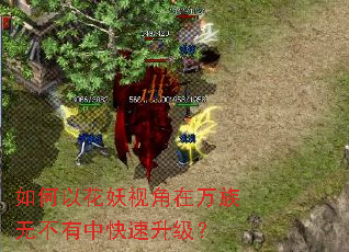 如何以花妖视角在万族无不有中快速升级? 如何以花妖视角在万族无不有中快速升级?
