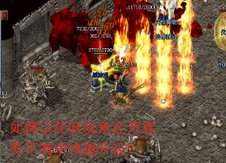 ����Ի����ӽ��������޲����п���������