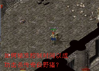 如何精准控制时间以成功击杀传奇白野猪? 如何精准控制时间以成功击杀传奇白野猪?