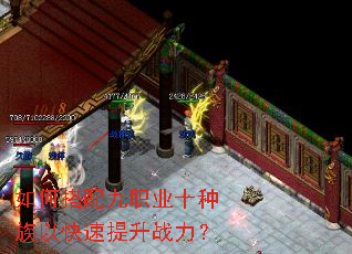 如何搭配九职业十种族以快速提升战力? 如何搭配九职业十种族以快速提升战力?