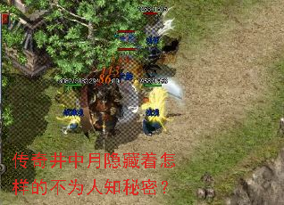 传奇井中月隐藏着怎样的不为人知秘密? 传奇井中月隐藏着怎样的不为人知秘密?