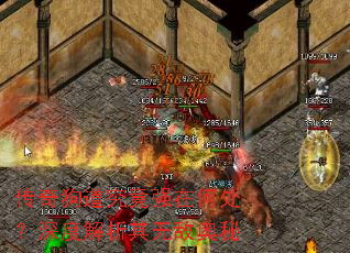 传奇狗道究竟强在何处?深度解析其无敌奥秘 传奇狗道究竟强在何处?深度解析其无敌奥秘