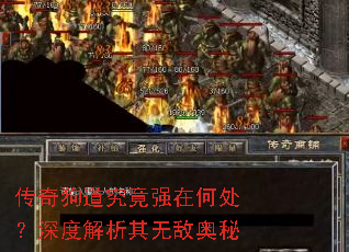 传奇狗道究竟强在何处?深度解析其无敌奥秘 传奇狗道究竟强在何处?深度解析其无敌奥秘