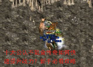ʮ���ϲ�봽�����ο�������ս�������ֱؿ�����