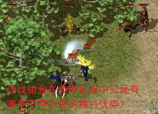 战战组合在传奇私服中究竟有哪些不可忽视的独特优势? 战战组合在传奇私服中究竟有哪些不可忽视的独特优势?