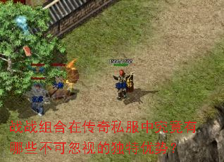 战战组合在传奇私服中究竟有哪些不可忽视的独特优势? 战战组合在传奇私服中究竟有哪些不可忽视的独特优势?