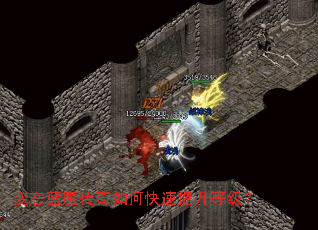 变态蓝魔传奇如何快速提升等级? 变态蓝魔传奇如何快速提升等级?
