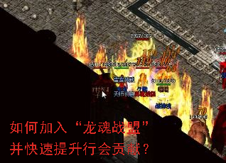 如何加入“龙魂战盟”并快速提升行会贡献? 如何加入“龙魂战盟”并快速提升行会贡献?