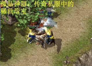 孤品神器：传奇私服中的稀世珍宝