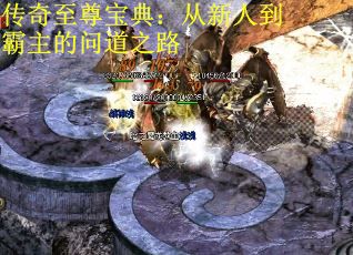 传奇至尊宝典：从新人到霸主的问道之路