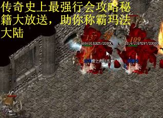 传奇史上最强行会攻略秘籍大放送，助你称霸玛法大陆