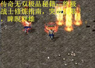 传奇无双极品秘籍：终极战士修炼指南，突破极限，睥睨群雄