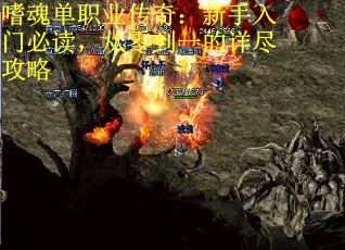 嗜魂单职业传奇：新手入门必读，从零到一的详尽攻略