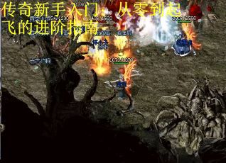传奇新手入门：从零到起飞的进阶指南