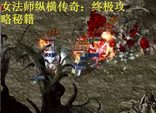 女法师纵横传奇：终极攻略秘籍