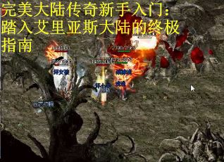 完美大陆传奇新手入门：踏入艾里亚斯大陆的终极指南