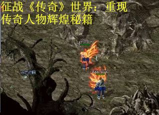 征战《传奇》世界：重现传奇人物辉煌秘籍