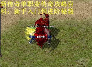 新传奇单职业传奇攻略百科：新手入门到进阶秘籍