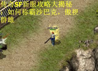传奇SF新服攻略大揭秘：如何称霸沙巴克，傲视群雄