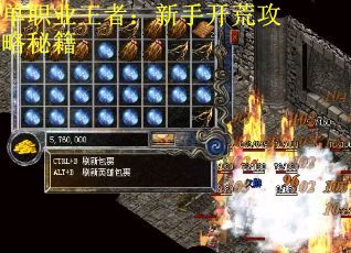单职业王者：新手开荒攻略秘籍