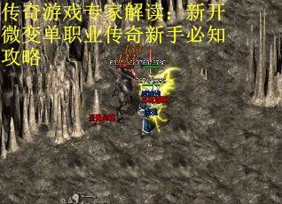 传奇游戏专家解读：新开微变单职业传奇新手必知攻略
