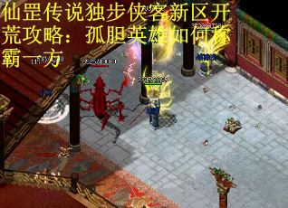 仙罡传说独步侠客新区开荒攻略：孤胆英雄如何称霸一方