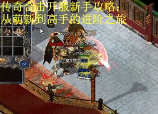 传奇合击开服新手攻略：从萌新到高手的进阶之旅