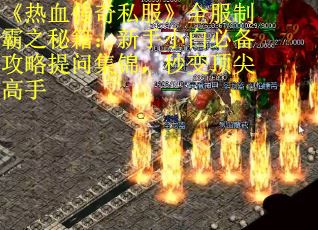 《热血传奇私服》全服制霸之秘籍：新手小白必备攻略提问集锦，秒变顶尖高手