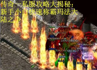 传奇一私服攻略大揭秘：新手小白快速称霸玛法大陆之争