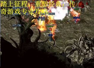 踏上征程，重塑经典：传奇游戏专业攻略