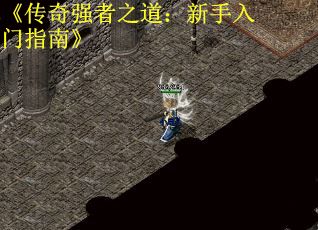 《传奇强者之道：新手入门指南》