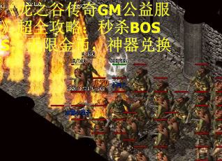 《龙之谷传奇GM公益服》超全攻略：秒杀BOSS，无限金币，神器兑换