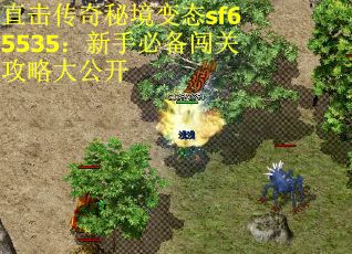 直击传奇秘境变态sf65535：新手必备闯关攻略大公开
