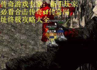 传奇游戏专家：新手玩家必看合击传奇sf传奇网址终极攻略大全