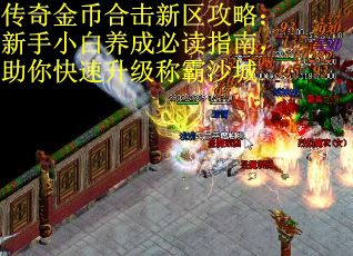 传奇金币合击新区攻略：新手小白养成必读指南，助你快速升级称霸沙城