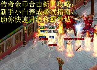 传奇金币合击新区攻略：新手小白养成必读指南，助你快速升级称霸沙城
