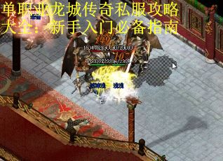 单职业龙城传奇私服攻略大全：新手入门必备指南