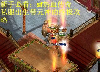 新手必看：sf热血传奇私服出生带元神的终极攻略