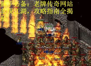 新手必备：老牌传奇网站重现江湖，攻略指南全揭秘