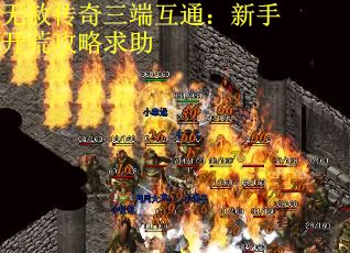 无赦传奇三端互通：新手开荒攻略求助