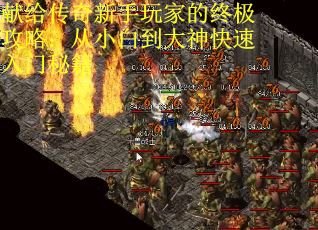 献给传奇新手玩家的终极攻略：从小白到大神快速入门秘籍