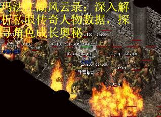 玛法江湖风云录：深入解析私服传奇人物数据，探寻角色成长奥秘