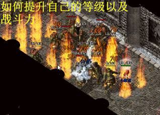 如何提升自己的等级以及战斗力