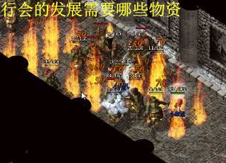 行会的发展需要哪些物资