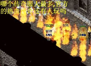 哪个传奇服人最多,官方的热血传奇还有人玩吗