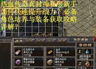 热血传奇真封神私服新手如何快速提升战力？必备角色培养与装备获取攻略详解？