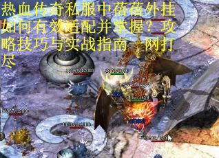 热血传奇私服中蓓蓓外挂如何有效适配并掌握？攻略技巧与实战指南一网打尽