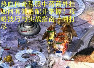 热血传奇私服中蓓蓓外挂如何有效适配并掌握？攻略技巧与实战指南一网打尽